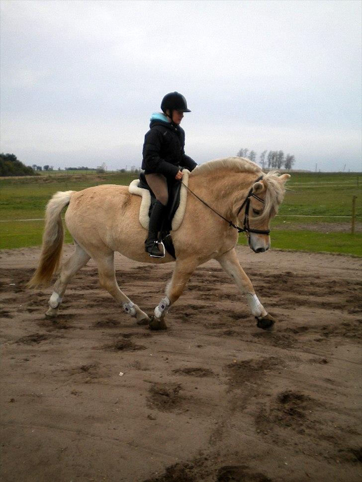 Anden særlig race Mulle - den 18/10-10(: billede 5