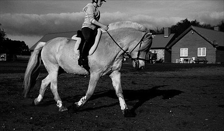Anden særlig race Mulle - Første gang på stjernen Mulle! :D billede 8