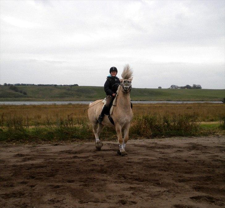Anden særlig race Mulle - Smukt ik?(: Smil til verden, og verden smiler til dig! billede 11