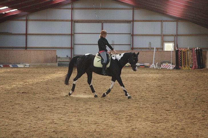 Pinto Mary Lou   - mig og mary lou. billede 4