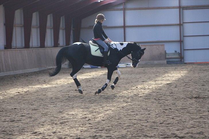 Pinto Mary Lou   - mig og mary lou. billede 6