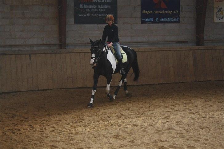 Pinto Mary Lou   - mig og ML :)  billede 9