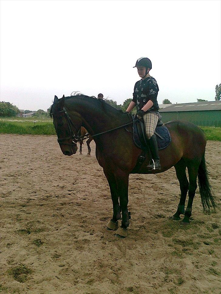 Anden særlig race rasmus billede 1