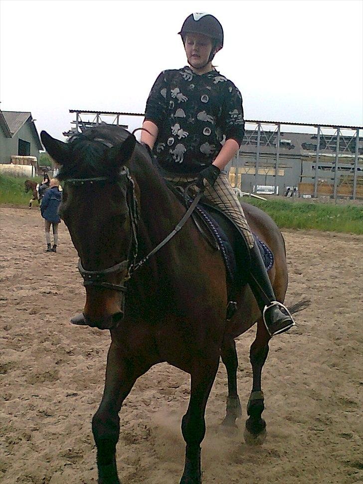 Anden særlig race rasmus billede 2