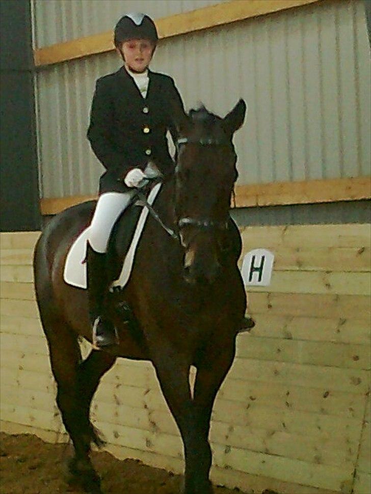 Anden særlig race rasmus billede 3