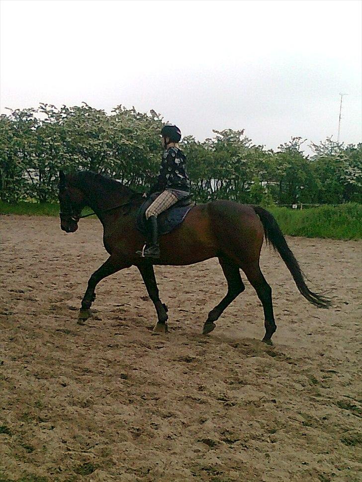 Anden særlig race rasmus billede 4