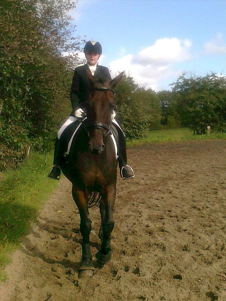 Anden særlig race rasmus billede 5