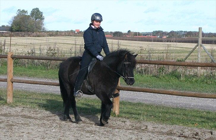 Islænder Assa fra BirkegårdenSOLGT - 16 - Min første tur på Assa, efterår 2010 -  billede 16