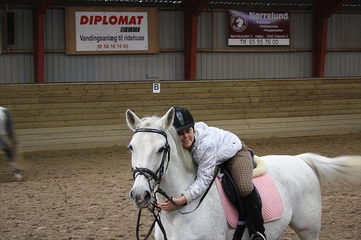 Dansk Varmblod La Troya ( solgt ) - Elsker dig ;) billede 15