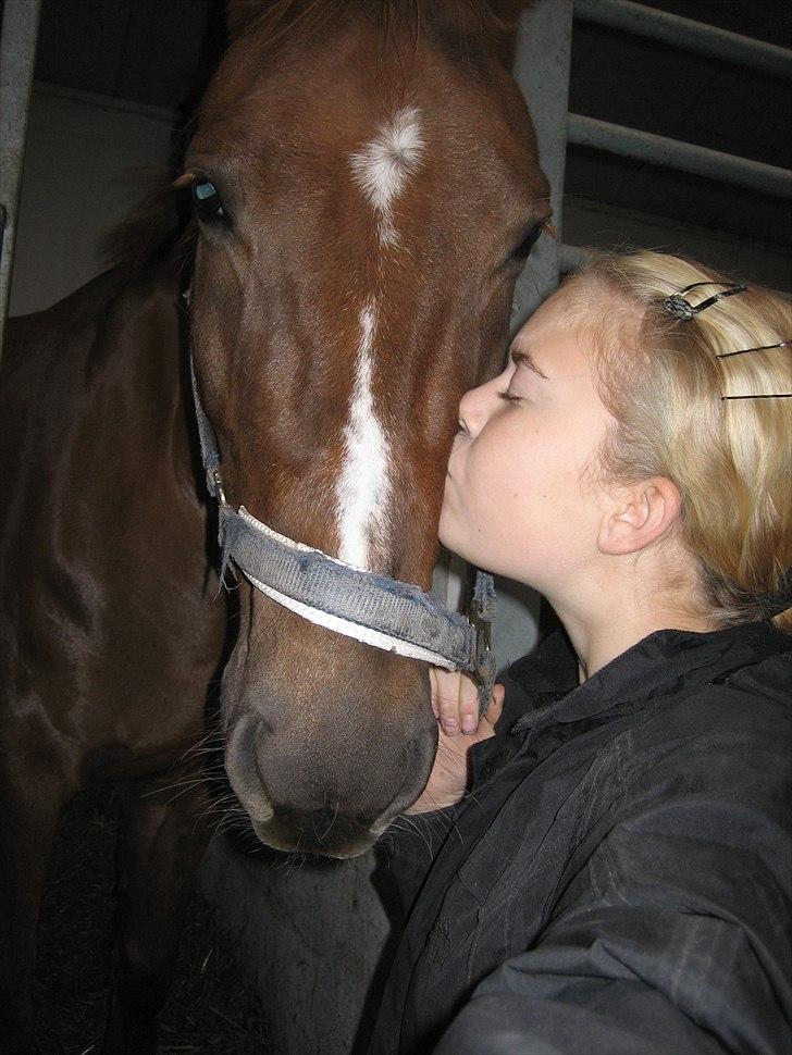 Anden særlig race Mira (Misty) - Møøøøøs! ;D I LOVE YOU ! billede 8