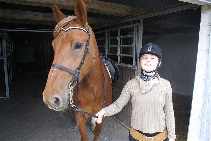 Anden særlig race Fiona (uforglemmelig <3) (solgt :( - verdens skønneste hest <3 billede 17