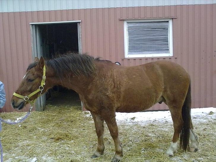 Anden særlig race Vivaldo....<3 Fortid..;/ - Selvom du ikke ved det, så gør du mig glad indeni <3 billede 5