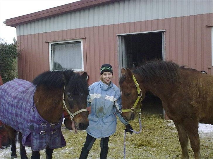 Anden særlig race Vivaldo....<3 Fortid..;/ - Sheik, Christina og Vivaldo<33 billede 6