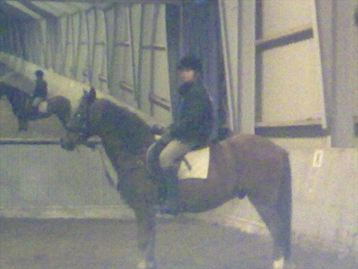 Anden særlig race Vivaldo....<3 Fortid..;/ - Nutid, Datid, jeg elsker dig for altid! <3 billede 7