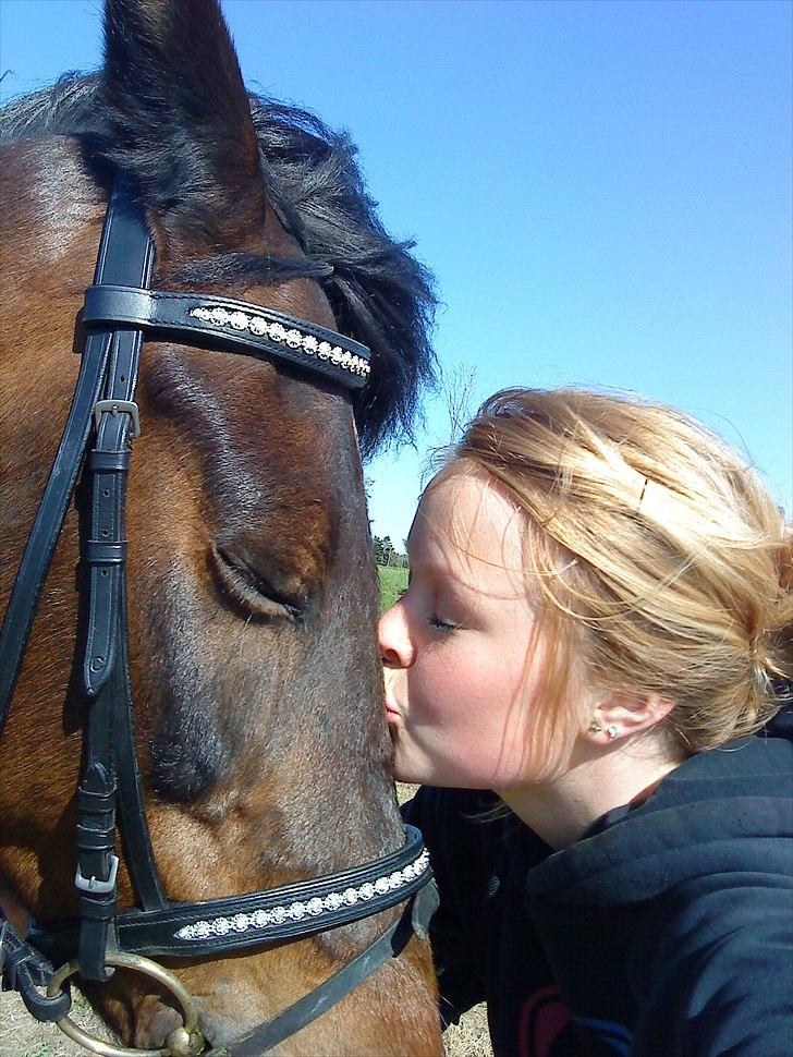 New Forest Faneth solgt!;( - en uforglemmeligt kys!!<3 billede 13