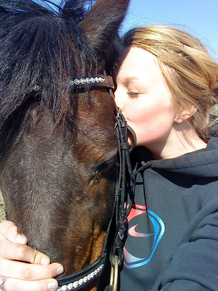 New Forest Faneth solgt!;( - orh hvor vi hyggede den dag, du havde gået godt, så vi nussede i laaaaang tid! :D billede 14