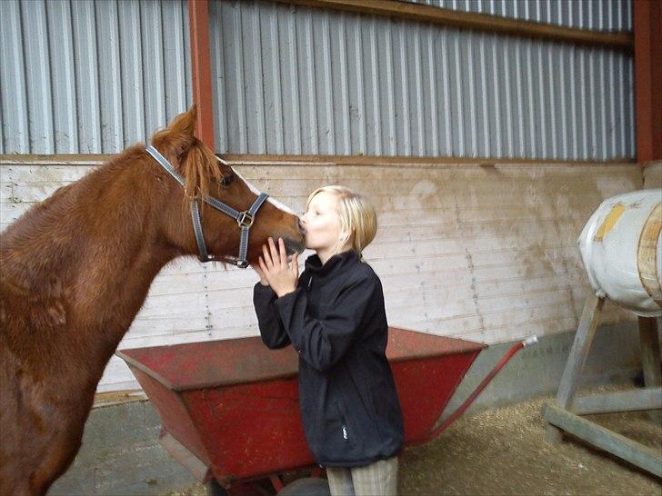 Anden særlig race Stella  - kys :-* billede 9