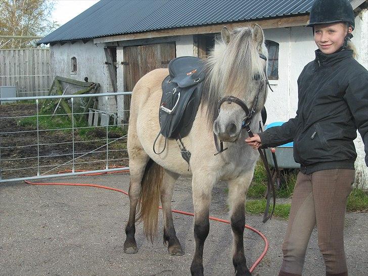 Anden særlig race Mr. Muffin (født Emil) *solgt* - Ditte og Muffin 2010 billede 7