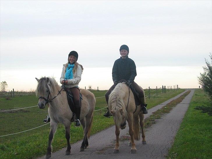 Anden særlig race Mr. Muffin (født Emil) *solgt* - Simone og Muffin 2010 billede 12