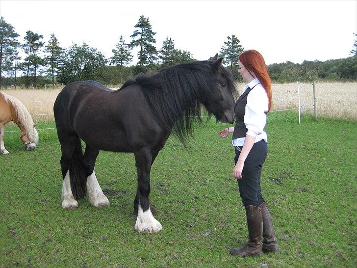 Tinker Joey Mac Nessa billede 15