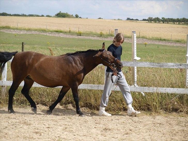 Anden særlig race Fiona - red - Spangbogaard ridelejr 2010 <3 Foto: Anita :) billede 13