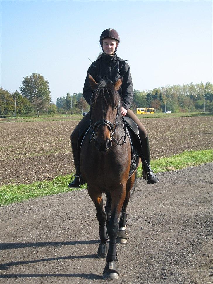 Oldenborg Skovgårdens Typhoon<3 [Himmel hest] - Velkommen til Typher´s profil.<3  -  håber i nyder billederne - smid en kommentar + bedømmelse:o) billede 1