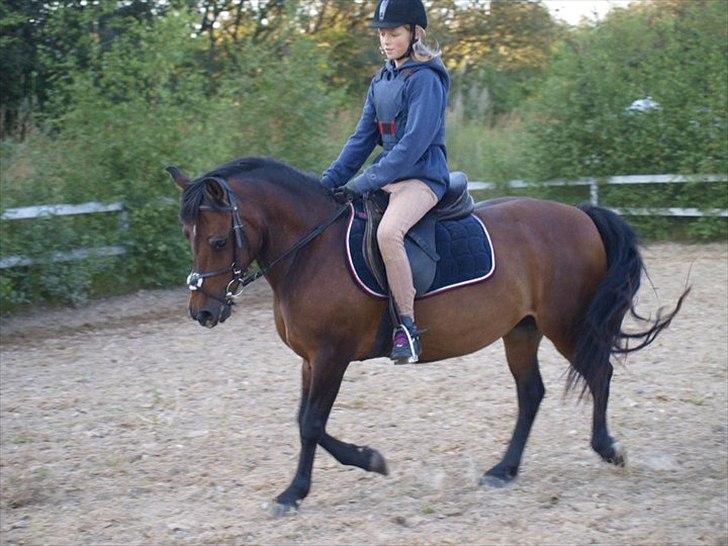 Anden særlig race Fiona - red - Spangbogaard ridelejr 2010 <3 Foto: Anita :) billede 15