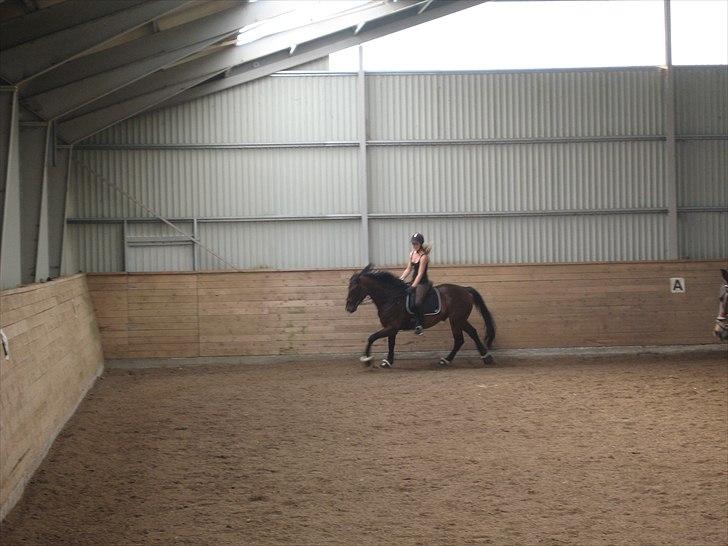 Oldenborg Skovgårdens Typhoon<3 [Himmel hest] - I fuld galop.<3 billede 9