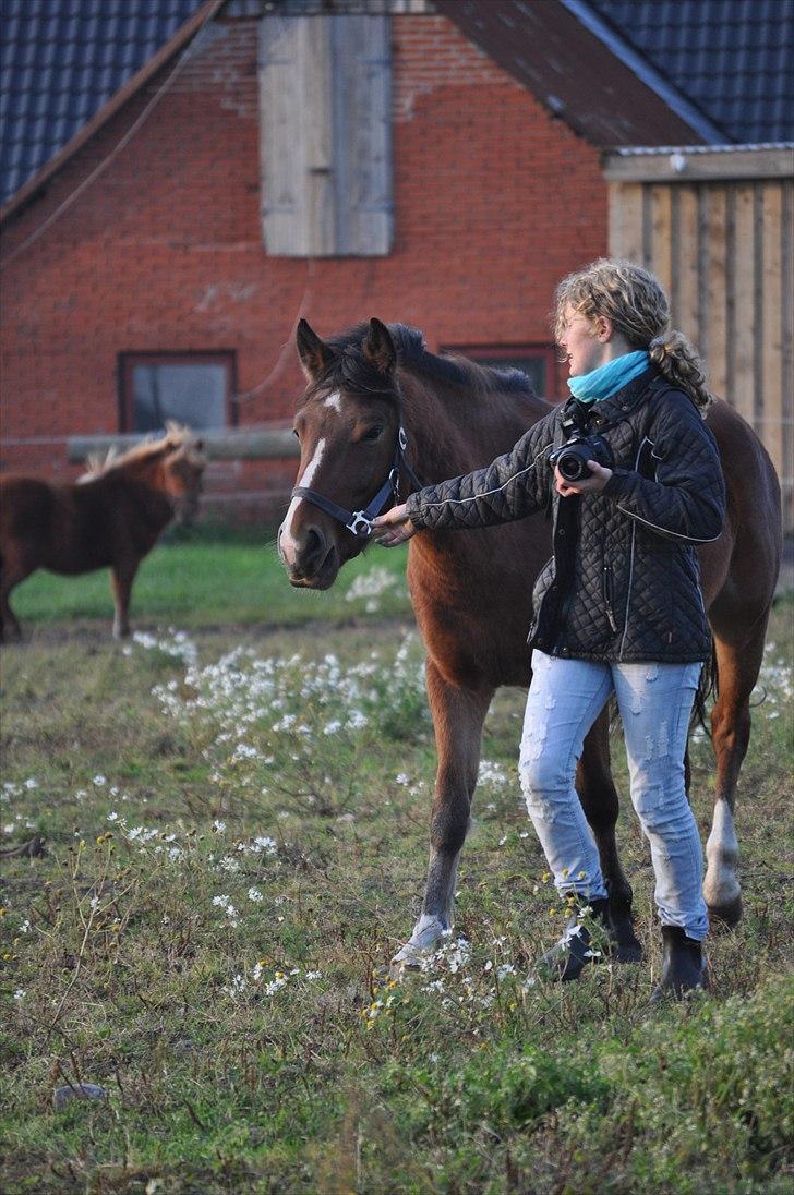 Anden særlig race Ferrari  billede 15