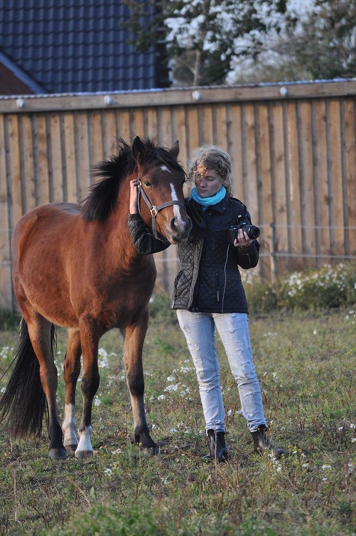 Anden særlig race Ferrari  billede 17
