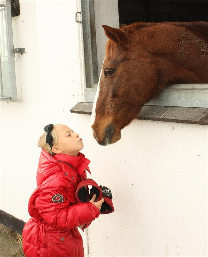 Anden særlig race Lady billede 9