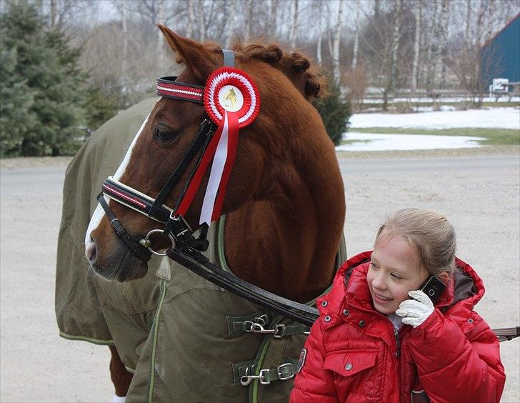 Anden særlig race Lady billede 12