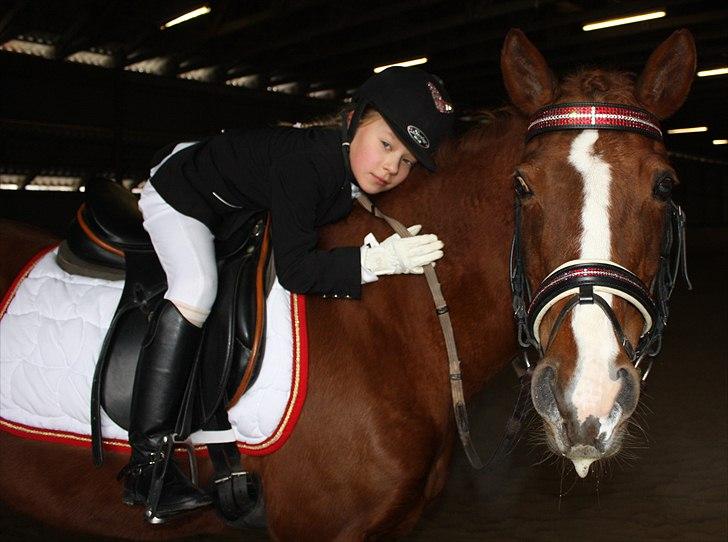 Anden særlig race Lady billede 13