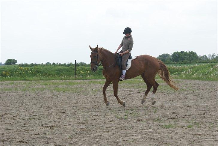 Anden særlig race Fiona (uforglemmelig <3) (solgt :( - hygge <3 <3 <3 kærlighed - jeg elsker dig  billede 7