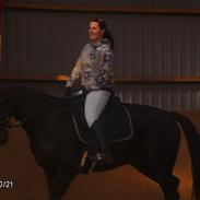 Anden særlig race Harald baldur