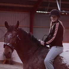 Anden særlig race Free Achak