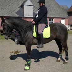 Anden særlig race  flik flak