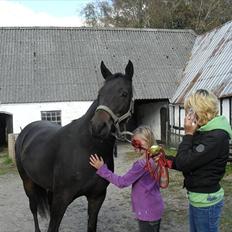 Anden særlig race My 