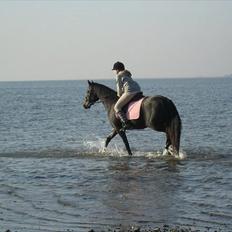 Anden særlig race My 