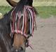 Welsh Partbred (Sec F) Skjaldsbjerg's Papaya R.I.P.