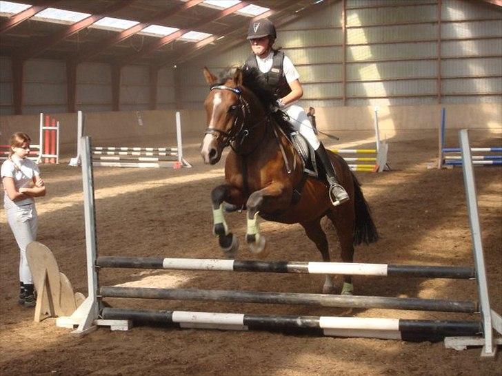 Anden særlig race Baron - Det er som at ride på en engel, når jeg springer på dig :D billede 8