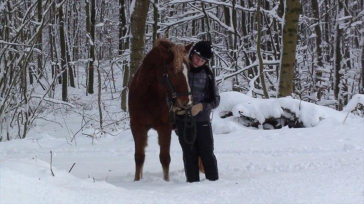 DSP Robin - Sneet og klar til skovtur :D billede 17