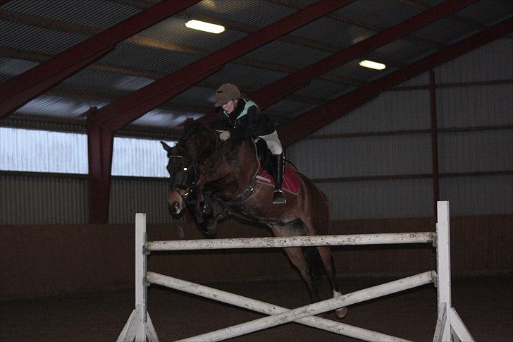 Anden særlig race Bakkelys Felur *Solgt* billede 20