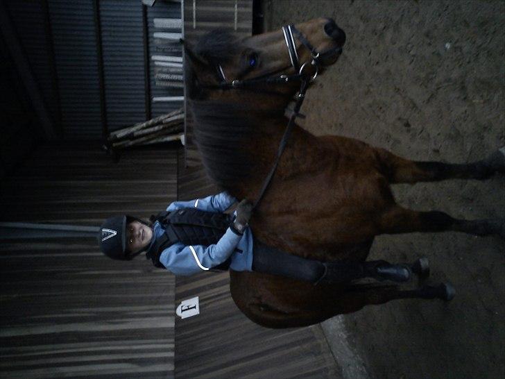 Anden særlig race Thanehøjs Mads - Mads. <3 billede 10