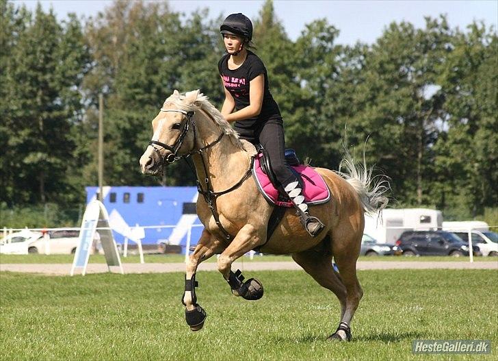 Anden særlig race WILD SECRET. BLINKENDE STJERNE - Lad aldrig frygten for det ukendte, forhindre dig i at spille !! billede 3