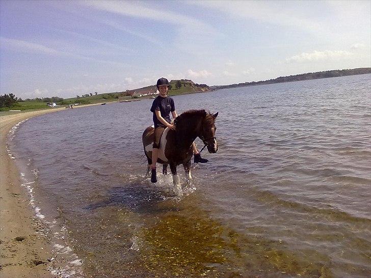 Anden særlig race Sally - Sally og jeg på stranden med storesøs og hendes bette hest:D billede 3