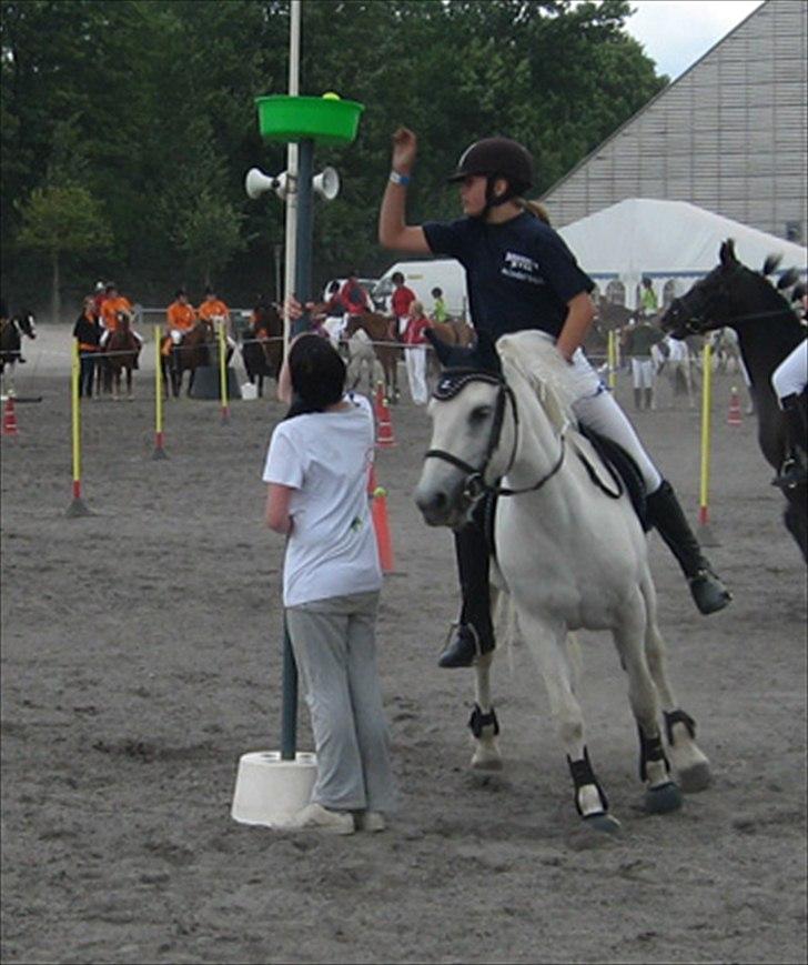 Connemara SHADOW billede 1