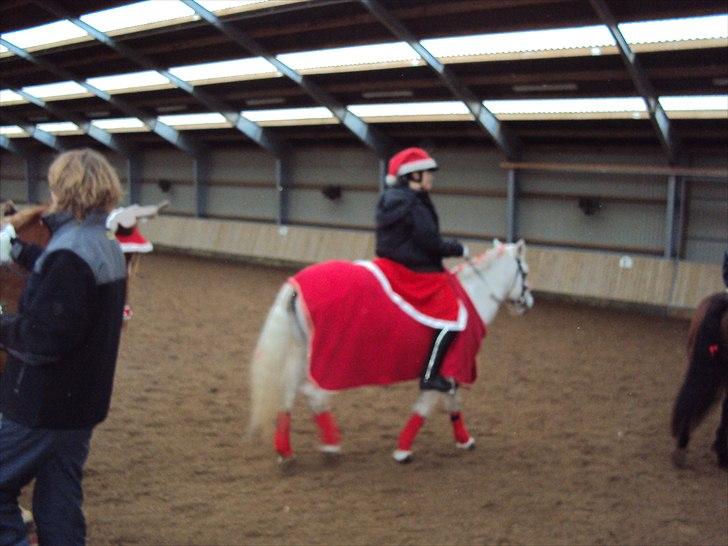 Connemara SHADOW billede 9