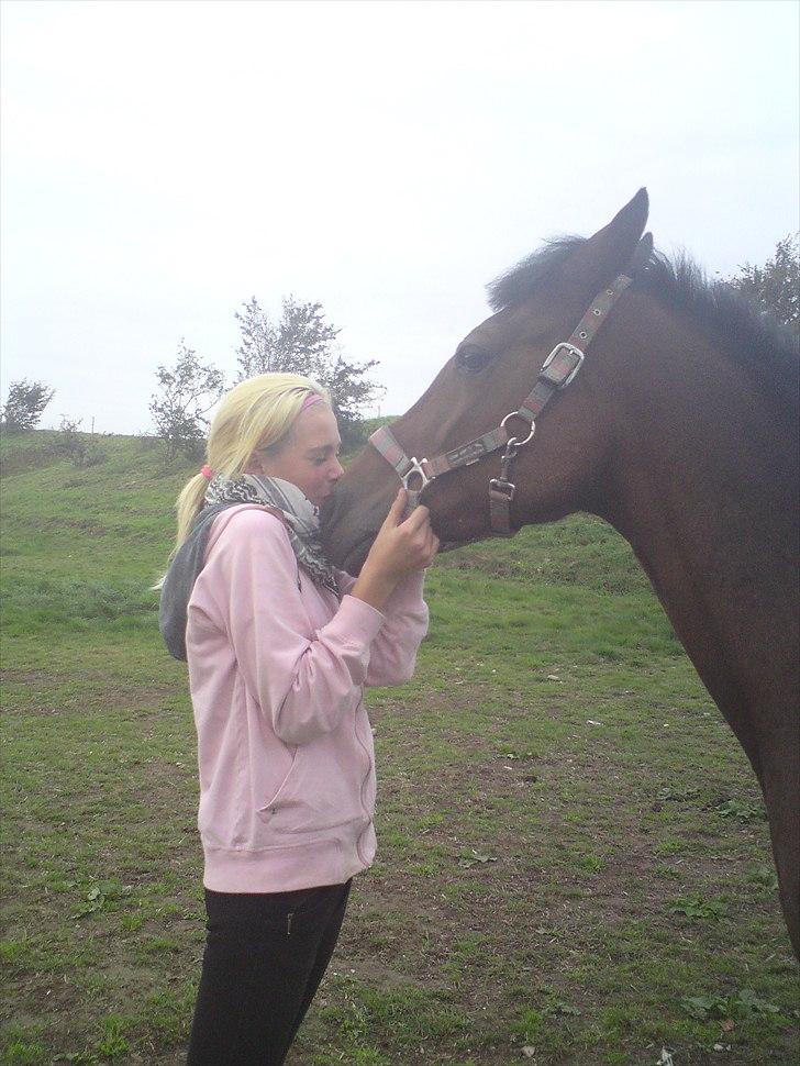 Anden særlig race Caballos Cucos Chica billede 19