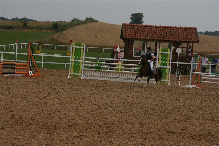 Anden særlig race Storm(pony jeg red) - Her kommer vi billede 2